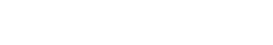 Real Life Solutions Logo